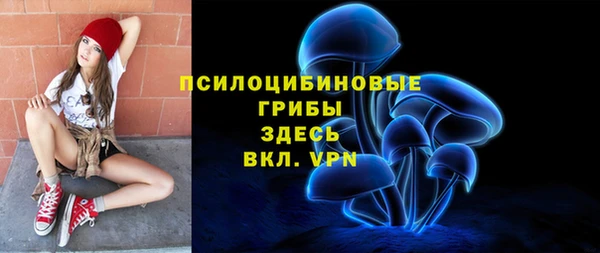 герыч Алексин