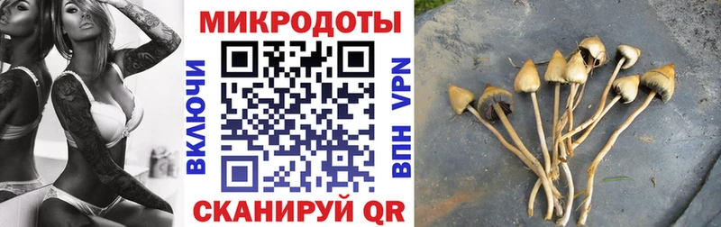 купить наркотик Камбарка MEGA Галлюциногенные грибы Psilocybe
